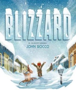blizzard, snow, winter, adventure, problem solving